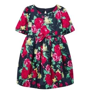 Janie and Jack Navy Red Floral Dress Short Sleeve Toddler Girls 2T